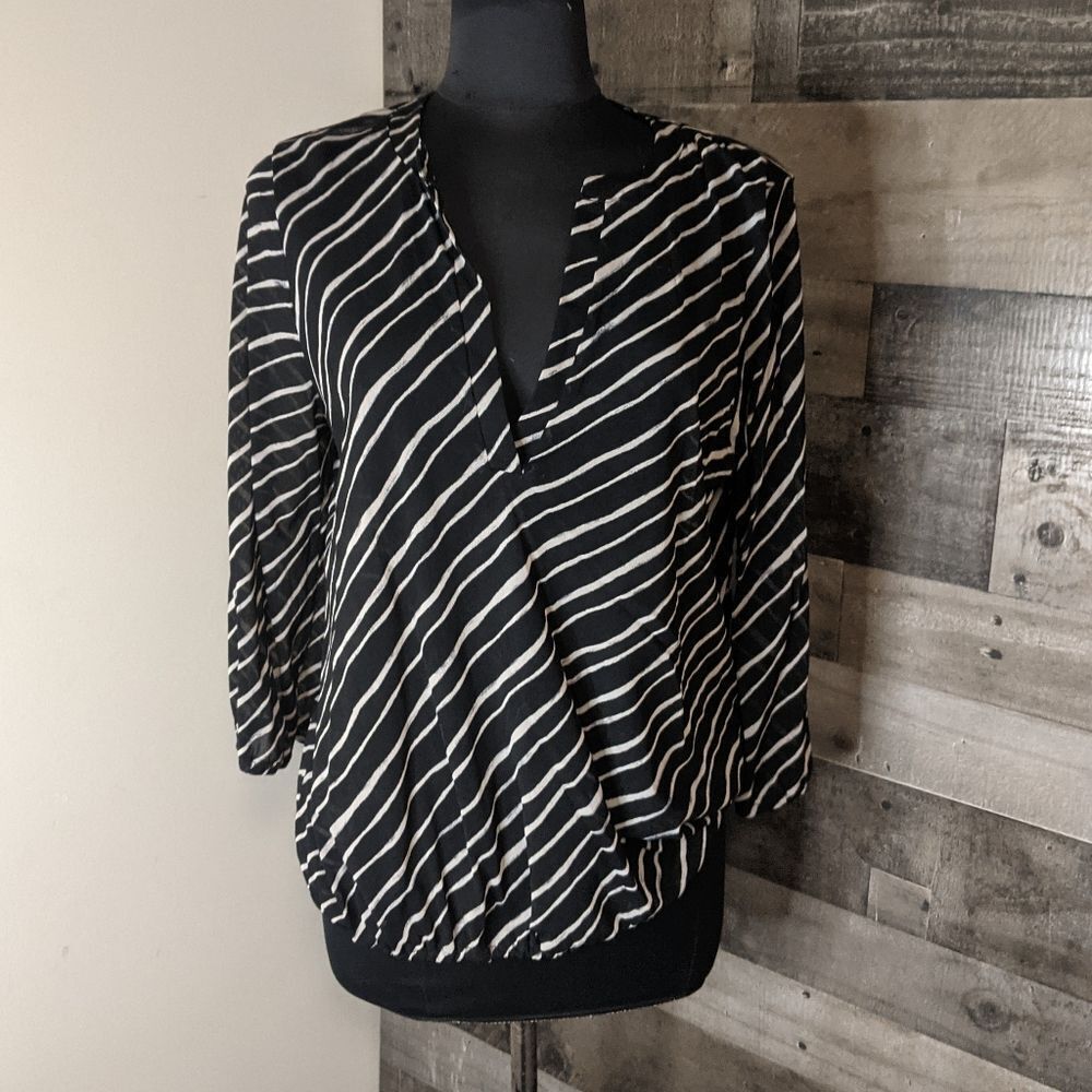 The Limited Sheer Top L